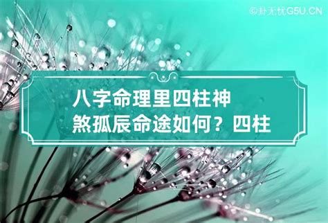 日柱 孤辰|日柱孤辰是什么意思